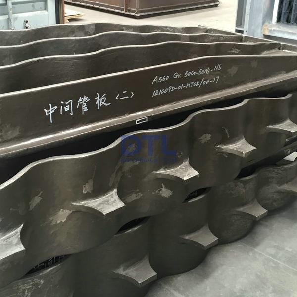 Convection Cast Tube Supports Radiant Cast Tube Support 
