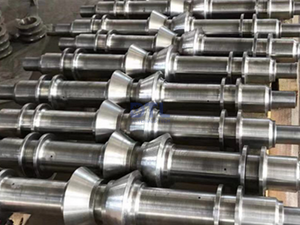 Special Charging Discharging Rollers Assembly by DTL