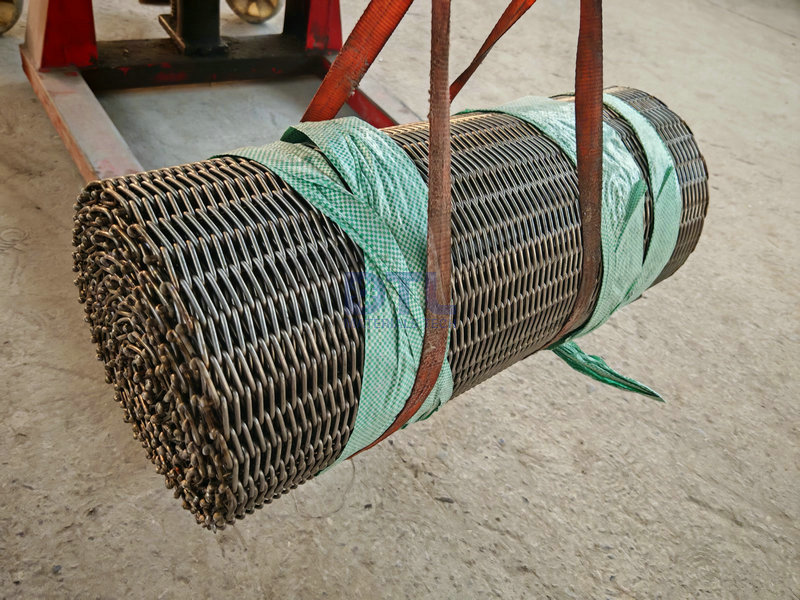 Wire Conveyor Belt 1