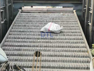 Reciprocating Grate Stoker Shipment2