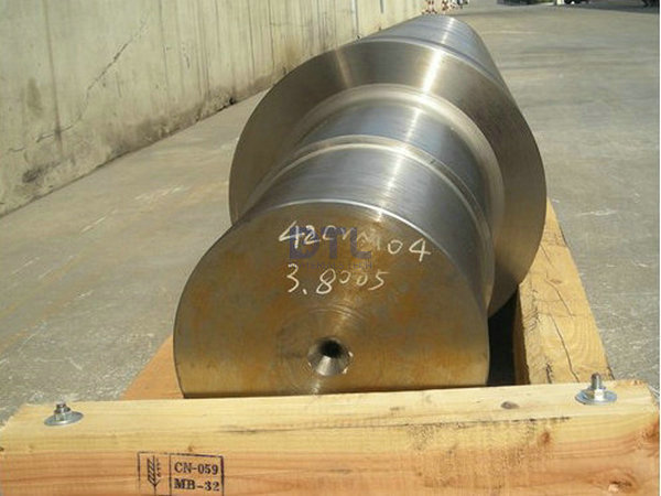 Rough Machined Shaft Forged