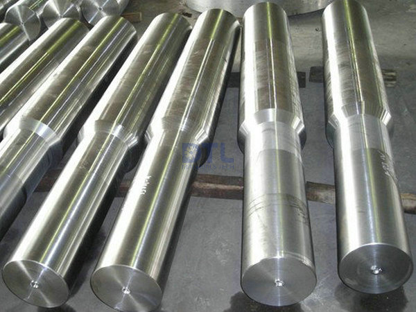 Rough Machined Shaft Forged