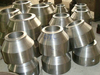Forged Flanges
